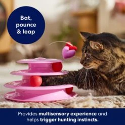 Frisco Unicorn Cat Tracks Cat Toy With Catnip 8 Frisco Unicorn Cat Tracks Cat Toy With Catnip -Frisco Sales Store 298958 PT3. AC SS1800 V1701797064