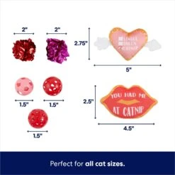 Frisco Valentine Variety Pack Cat Toy With Catnip, 13 Count -Frisco Sales Store 298966 PT2. AC SS1800 V1701364858