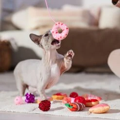 Frisco Valentine Variety Pack Cat Toy With Catnip, 13 Count -Frisco Sales Store 298966 PT3. AC SS1800 V1701364858