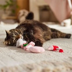 Frisco It's Raining Love Plush Cat Toy With Catnip, 4 Count 8 Frisco It's Raining Love Plush Cat Toy With Catnip, 4 Count -Frisco Sales Store 298968 PT3. AC SS1800 V1701364859