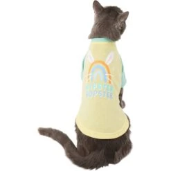 Frisco Hipster Hopster Dog & Cat T-Shirt -Frisco Sales Store 300638 PT2. AC SS1800 V1641538001