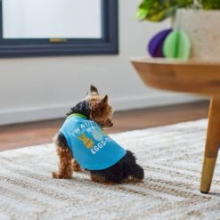 Frisco I'm A Little Eggs-tra Dog & Cat T-Shirt 13 Frisco I'm A Little Eggs-tra Dog & Cat T-Shirt -Frisco Sales Store 300646 PT5. AC SS1800 V1641542509