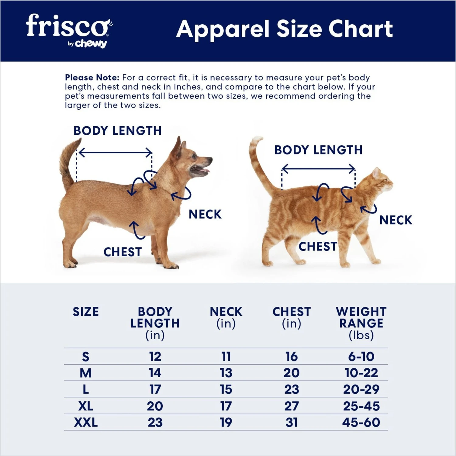 Frisco Love Bunny Dog & Cat Dress 4 Frisco Love Bunny Dog & Cat Dress - Image 2
