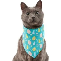 Frisco Spring Easter Egg Dog & Cat Bandana 11 Frisco Spring Easter Egg Dog & Cat Bandana -Frisco Sales Store 300663 PT2. AC SS1800 V1641537094