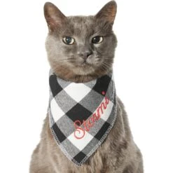 Frisco Buffalo Check Embroidered Personalized Dog & Cat Bandana -Frisco Sales Store 301162 PT7. AC SS1800 V1628535983