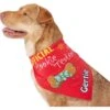 Frisco Official Cookie Tester Personalized Dog & Cat Bandana -Frisco Sales Store 301353 MAIN. AC SS1800 V1632923476