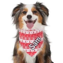 Frisco Fair Isle Personalized Dog & Cat Bandana 16 Frisco Fair Isle Personalized Dog & Cat Bandana -Frisco Sales Store 301357 PT6. AC SS1800 V1628100112