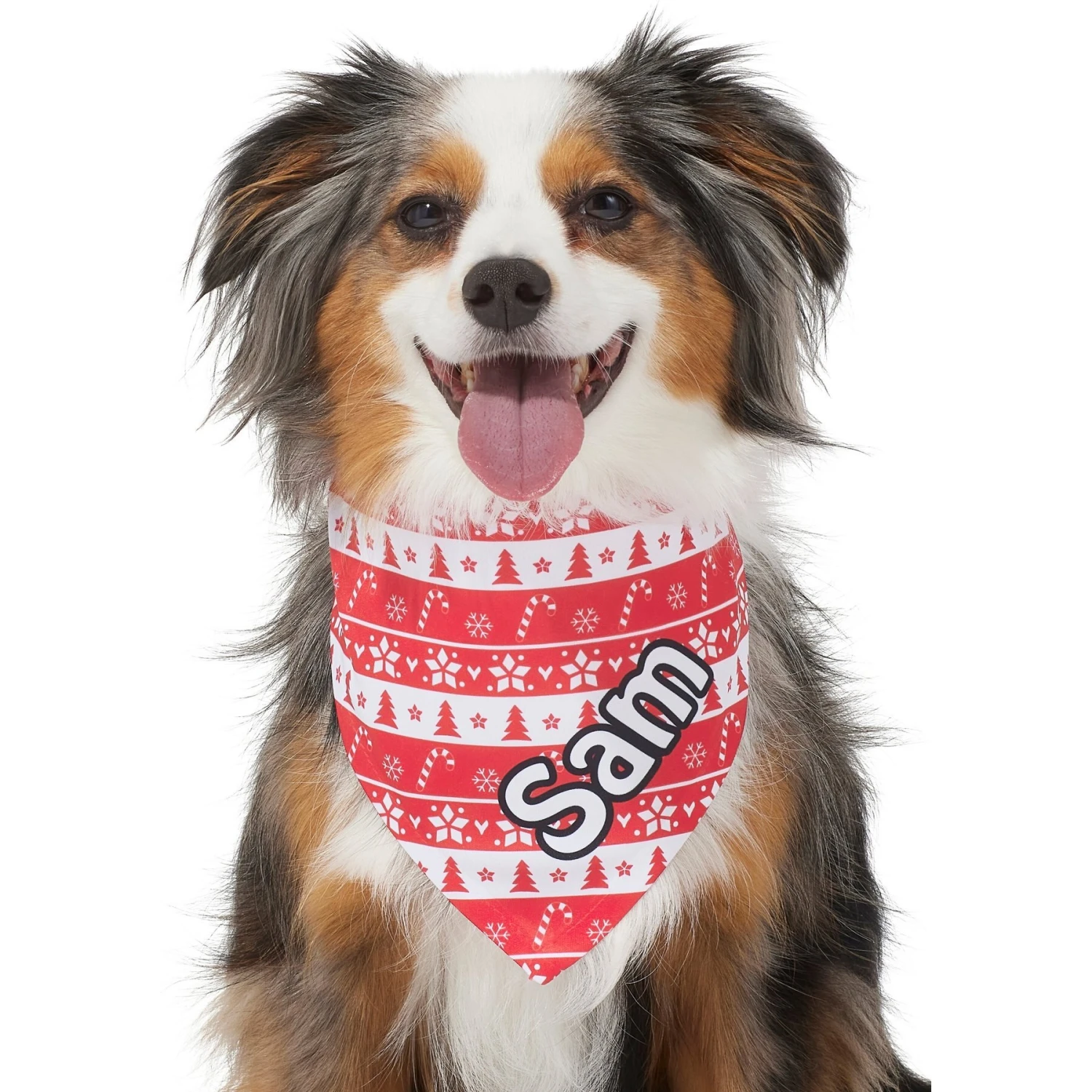 Frisco Fair Isle Personalized Dog & Cat Bandana 9 Frisco Fair Isle Personalized Dog & Cat Bandana - Image 7