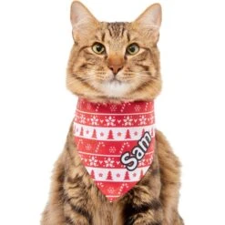 Frisco Fair Isle Personalized Dog & Cat Bandana 17 Frisco Fair Isle Personalized Dog & Cat Bandana -Frisco Sales Store 301357 PT7. AC SS1800 V1628100084