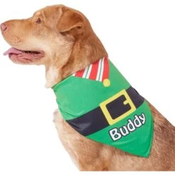 Frisco Santa's Favorite Elf Personalized Dog & Cat Bandana -Frisco Sales Store 301369 PT6. AC SS1800 V1628100146