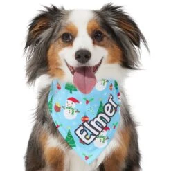 Frisco Snowman & Presents Personalized Dog & Cat Bandana -Frisco Sales Store 301373 PT6. AC SS1800 V1628100374