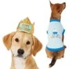 Frisco Happy Birthday Dog & Cat Crown & Frisco It's My Birthday & Cat T-Shirt 2 Frisco Happy Birthday Dog & Cat Crown & Frisco It's My Birthday & Cat T-Shirt -Frisco Sales Store 302470 MAIN. AC SS1800 V1623076950