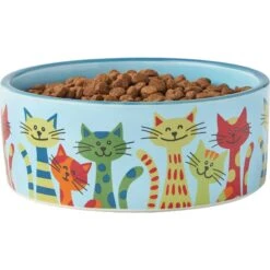 Frisco New York Non-skid Ceramic Cat Dish & Frisco New York Non-skid Ceramic Cat Bowl -Frisco Sales Store 302488 PT6. AC SS1800 V1623041543
