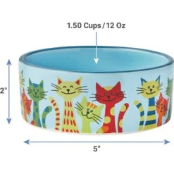 Frisco New York Non-skid Ceramic Cat Dish & Frisco New York Non-skid Ceramic Cat Bowl -Frisco Sales Store 302488 PT7. AC SS1800 V1623052360