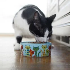 Frisco New York Non-skid Ceramic Cat Dish & Frisco New York Non-skid Ceramic Cat Bowl -Frisco Sales Store 302488 PT8. AC SS1800 V1623091056