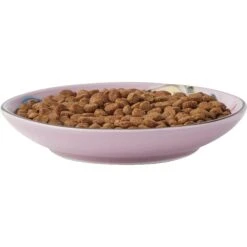 Frisco Paris Non-skid Ceramic Cat Dish & Frisco Paris Non-skid Ceramic Cat Dish -Frisco Sales Store 302490 PT2. AC SS1800 V1623058041