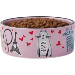 Frisco Paris Non-skid Ceramic Cat Dish & Frisco Paris Non-skid Ceramic Cat Dish -Frisco Sales Store 302490 PT6. AC SS1800 V1623067060