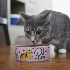 Frisco Paris Non-skid Ceramic Cat Dish & Frisco Paris Non-skid Ceramic Cat Dish -Frisco Sales Store 302490 PT8. AC SS1800 V1623043046