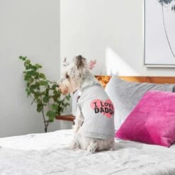 Frisco I Love Daddy Dog & Cat T-Shirt, Gray & Frisco I Love Mommy Dog & Cat T-Shirt -Frisco Sales Store 302760 PT3. AC SS1800 V1623034662