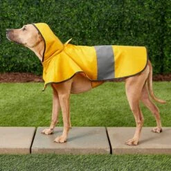 Frisco Lightweight Rainy Days Dog Raincoat & Frisco Lightweight Clear Vinyl Dog Raincoat -Frisco Sales Store 302814 PT4. AC SS1800 V1623089554