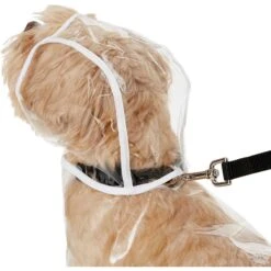 Frisco Lightweight Rainy Days Dog Raincoat & Frisco Lightweight Clear Vinyl Dog Raincoat -Frisco Sales Store 302814 PT6. AC SS1800 V1623065256