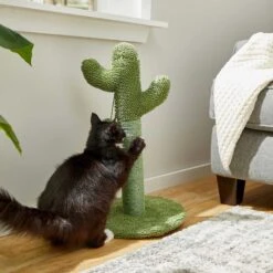 Frisco Novelty Unicorn Covered Cat & Dog Bed & Frisco Cactus Cat Scratching Post -Frisco Sales Store 303496 PT7. AC SS1800 V1623062246