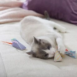 Frisco Spring Party Hat Kickers Cat Toy With Catnip -Frisco Sales Store 306960 PT3. AC SS1800 V1703184746