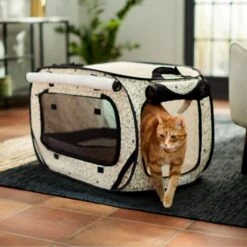 Frisco Collapsible Cat Cage, Litter Box, & Mat 15 Frisco Collapsible Cat Cage, Litter Box, & Mat -Frisco Sales Store 306999 PT6. AC SS1800 V1634830497