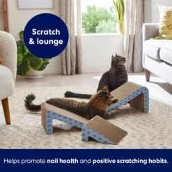 Frisco Nesting Cat Scratcher Toy With Catnip 8 Frisco Nesting Cat Scratcher Toy With Catnip -Frisco Sales Store 308876 PT5. AC SS1800 V1691785301
