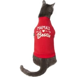 Frisco Mama's Bestie Dog & Cat T-Shirt 11 Frisco Mama's Bestie Dog & Cat T-Shirt -Frisco Sales Store 312056 PT2. AC SS1800 V1644425822