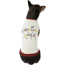 Frisco Problem Child Dog & Cat T-Shirt -Frisco Sales Store 312064 PT3. AC SS1800 V1673303532