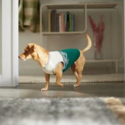 Frisco Tropical Palm Dog & Cat T-Shirt 13 Frisco Tropical Palm Dog & Cat T-Shirt -Frisco Sales Store 312072 PT8. AC SS1800 V1644425897