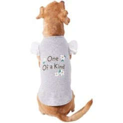 Frisco One Of A Kind Dog & Cat T-Shirt -Frisco Sales Store 312080 PT3. AC SS1800 V1673303002