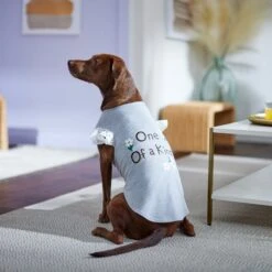 Frisco One Of A Kind Dog & Cat T-Shirt -Frisco Sales Store 312080 PT5. AC SS1800 V1673304060