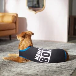 Frisco Mama's Boy Dog & Cat T-Shirt -Frisco Sales Store 312088 PT5. AC SS1800 V1673361675