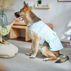 Frisco Green Tie Dye Dog & Cat Dress 13 Frisco Green Tie Dye Dog & Cat Dress -Frisco Sales Store 312104 PT8. AC SS1800 V1644424641