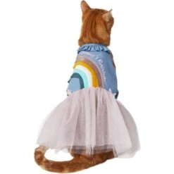 Frisco Rainbow Denim Dog & Cat Dress -Frisco Sales Store 312144 PT2. AC SS1800 V1644524286