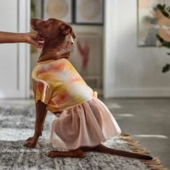 Frisco Tie Dye Pink Tutu Dog & Cat Dress -Frisco Sales Store 312152 PT8. AC SS1800 V1644528801