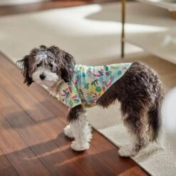 Frisco Flamingo Camp Dog & Cat Shirt 18 Frisco Flamingo Camp Dog & Cat Shirt -Frisco Sales Store 312176 PT7. AC SS1800 V1673361358