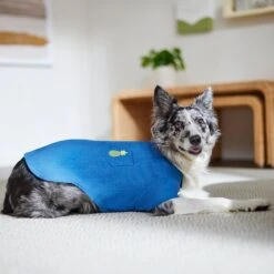 Frisco Chambray Pineapple Dog & Cat Shirt -Frisco Sales Store 312192 PT8. AC SS1800 V1644526681