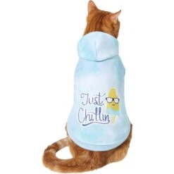 Frisco Just Chillin Dog & Cat Hoodie 11 Frisco Just Chillin Dog & Cat Hoodie -Frisco Sales Store 312233 PT2. AC SS1800 V1644879530