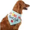 Frisco Living My Best Life Dog & Cat Bandana 1 Frisco Living My Best Life Dog & Cat Bandana -Frisco Sales Store 312288 MAIN. AC SS1800 V1644881351