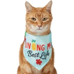 Frisco Living My Best Life Dog & Cat Bandana -Frisco Sales Store 312288 PT2. AC SS1800 V1644884916