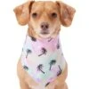 Frisco Palm Tree Dog & Cat Bandana
