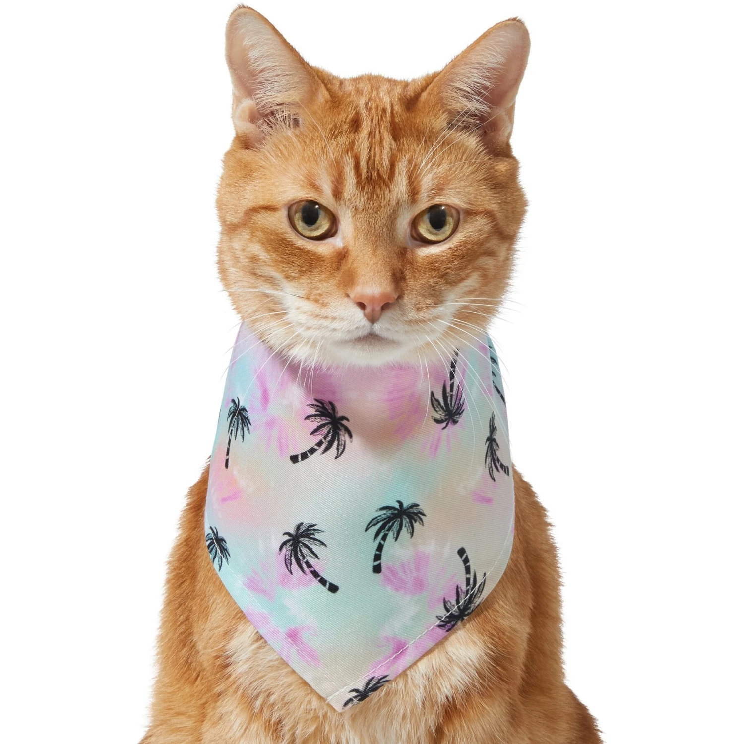 Frisco Palm Tree Dog & Cat Bandana 5 Frisco Palm Tree Dog & Cat Bandana - Image 3