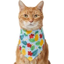 Frisco Hawaiian Pineapple Dog & Cat Bandana -Frisco Sales Store 312300 PT2. AC SS1800 V1644878643
