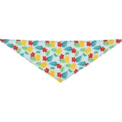 Frisco Hawaiian Pineapple Dog & Cat Bandana -Frisco Sales Store 312300 PT4. AC SS1800 V1644880316