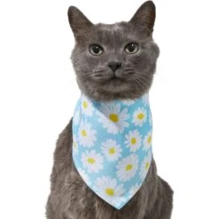 Frisco Daisy Dog & Cat Bandana -Frisco Sales Store 312303 PT2. AC SS1800 V1644883588