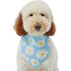 Frisco Daisy Dog & Cat Bandana -Frisco Sales Store 312303 PT3. AC SS1800 V1673302704