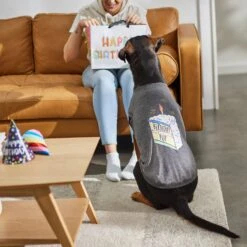 Frisco Birthday Pup Dog & Cat T-Shirt -Frisco Sales Store 315076 PT8. AC SS1800 V1646438210